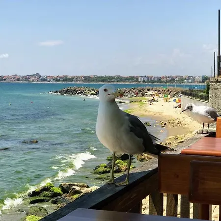 Niko's Deluxe Appartamento